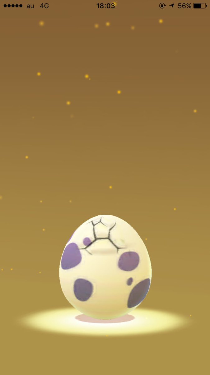 pfm_sc's tweet photo. 絶望っていうのはこういう事🙂

#ポケモンGO #10キロタマゴ #孵化 https://t.co/2YelWSWt0R