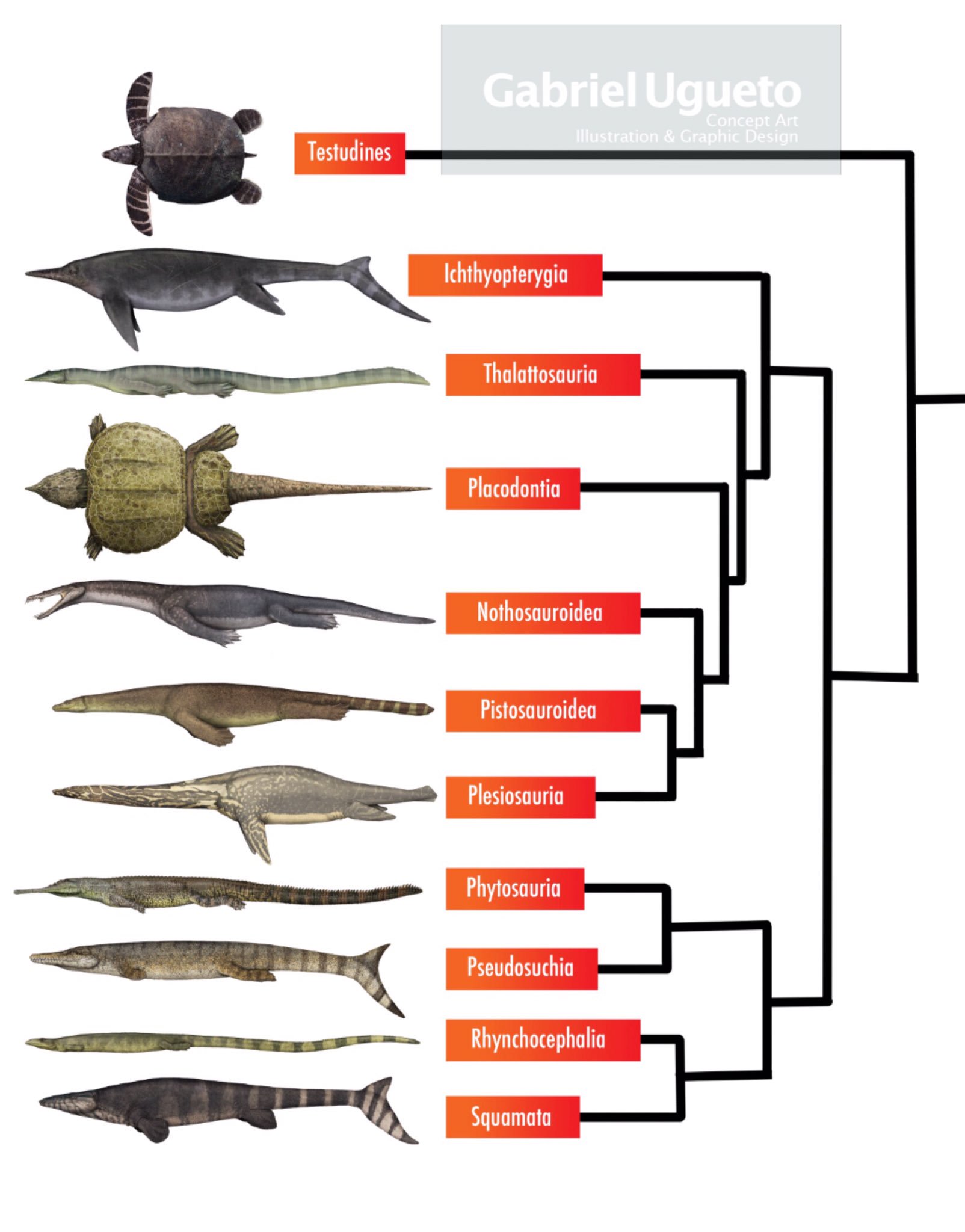 10 Examples Of Reptiles