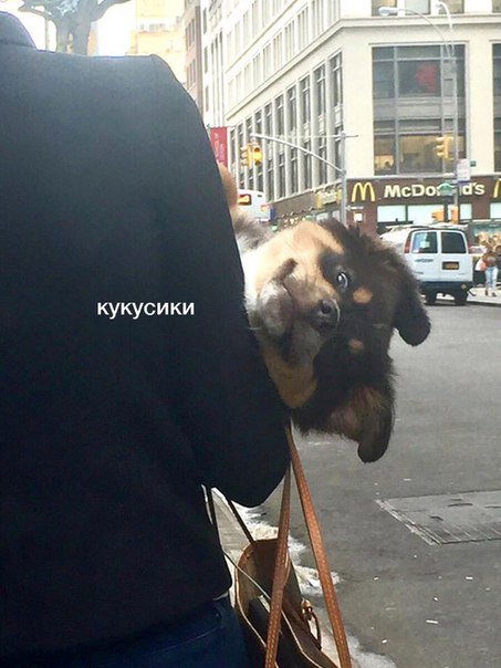 TBOU_KOCMOC's tweet photo. кек~ https://t.co/j42Gb9pa9n