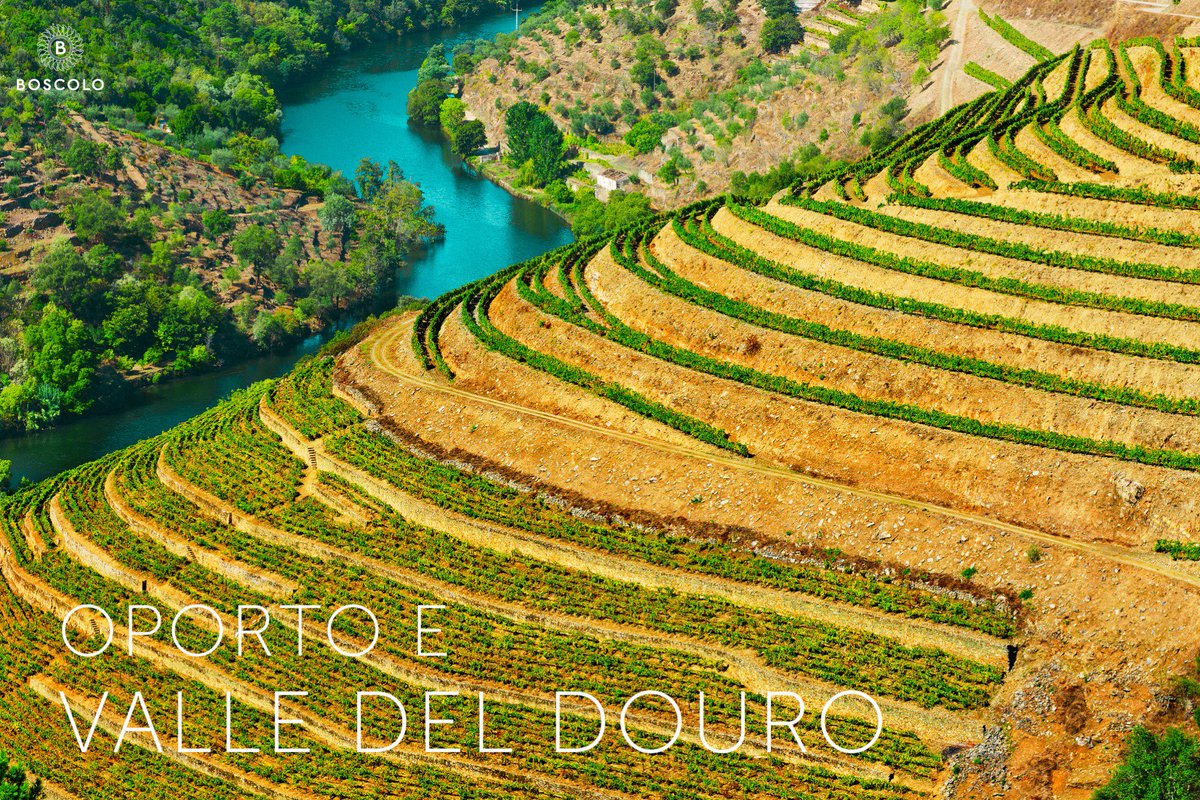 #Oporto e Valle del #Douro per il ponte di #Ognissanti, qui la bellezza è davvero a ogni angolo goo.gl/WCxGtf