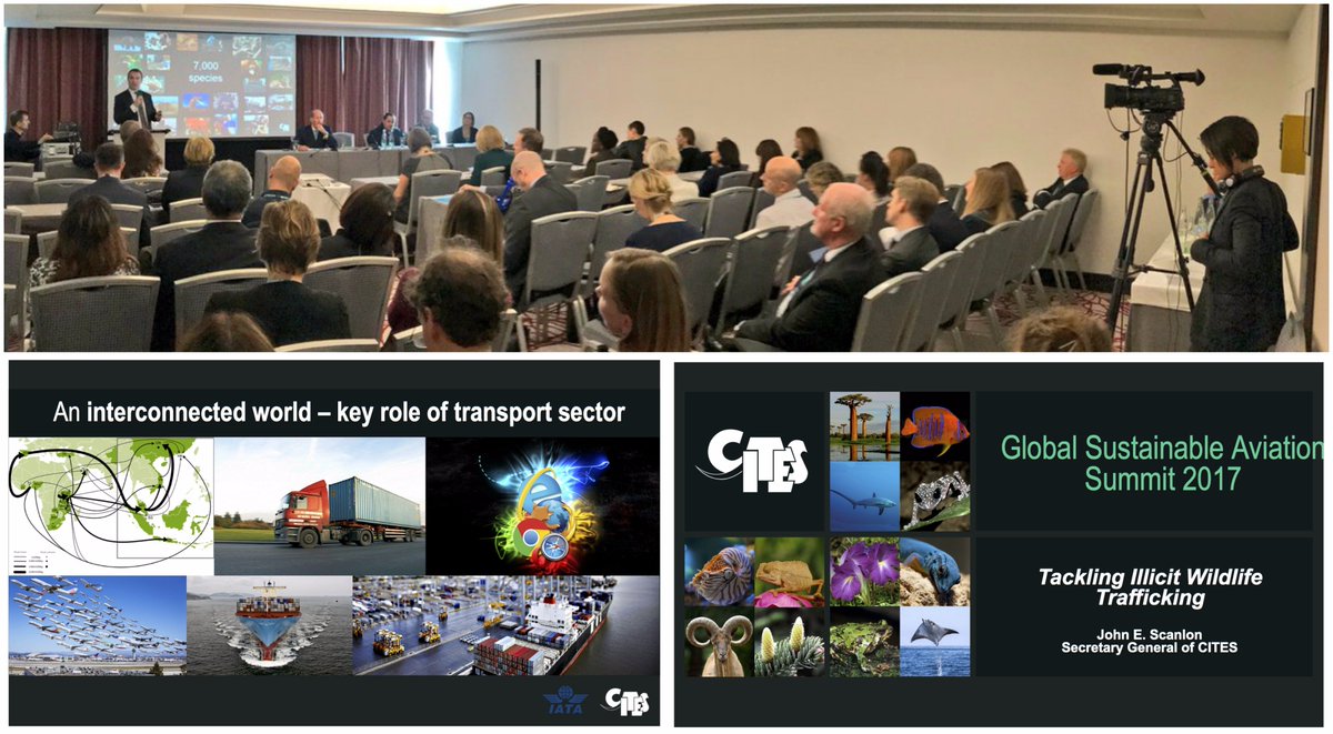 JohnEScanlon's tweet photo. In an interconnected world aviation sector has key role to play in tackling illegal #wildlife trade. Message to aviation leaders @ #ATAG2017 https://t.co/PYe8TzeqWQ