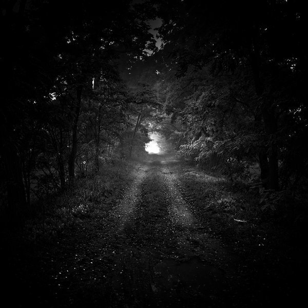 Tyrord's tweet photo. #EuropeanAesthetics #Perennial #KinSelection #StoicArts #Honesty #Fleeing #Wordless #FromAfar #NoLonger #OneAmongOthers #Regretless https://t.co/OZRfNV3cS3