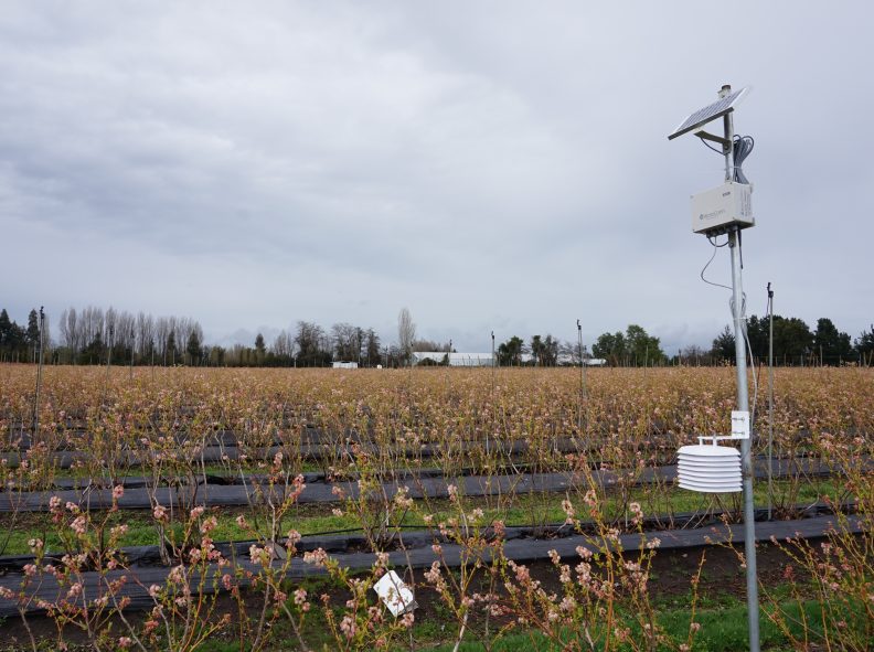 WiseconnUSA's tweet photo. #DropControl: wireless network easy to install into any field! Ready for #FrostControl? Contact our engineers today! https://t.co/1t2O0vy40I https://t.co/JVSrByu1k4