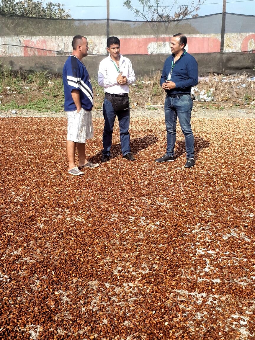 produrios's tweet photo. #Produrios visitó #Ventanas para que productores se adhieran al proyecto del cacao, y reciban los beneficios que se desprenden del mismo. https://t.co/a3ygqFgJ49
