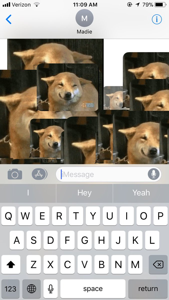 AustinScheel's tweet image. When @madeline_briggs finally figures out how to use the new iOS