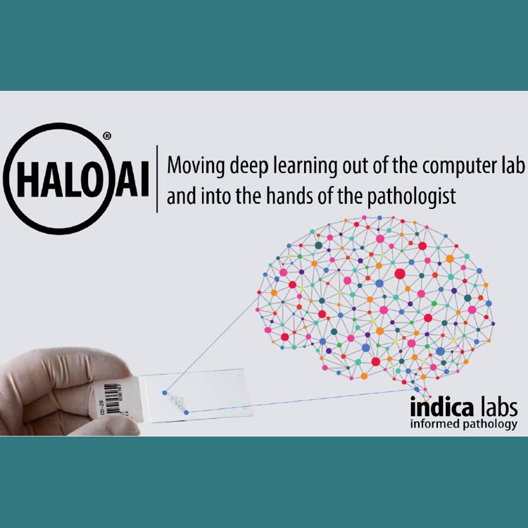 Indica_Labs's tweet photo. Last day at #PathVisions17. Stop by booth #7 to learn about our newest product HALO-AI! https://t.co/cCWO0UQHx7