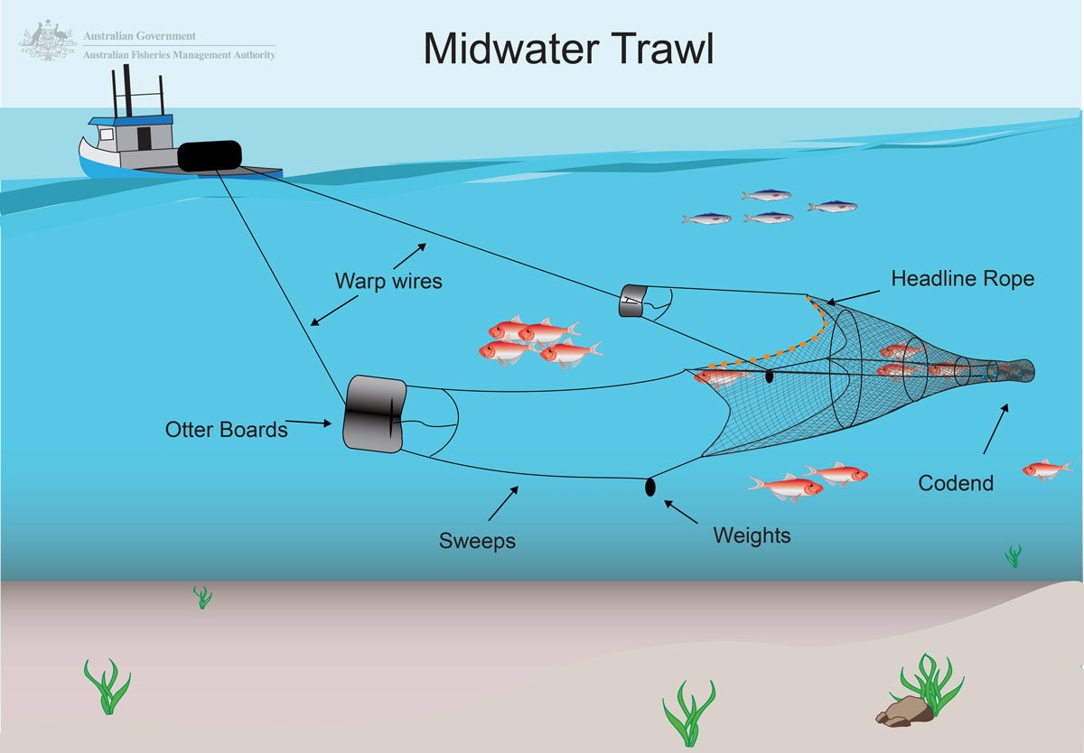PakarLogika's tweet photo. Jadi jelas ya" cantrang (Jaring Trawl) /nama lainnya: pukat harimau, pukat tarik, tangkul tarik, jaring trawl ikan, pukat apolo, pukat langgasi dll sdh dilarang sejak 1980 melalui Keppres. Bkn ujug2 terjadi di era Bu @susipudjiastuti . Dulu kalian kmn aja? Takut? #SusiLanggarHAM https://t.co/DveESqiYuD