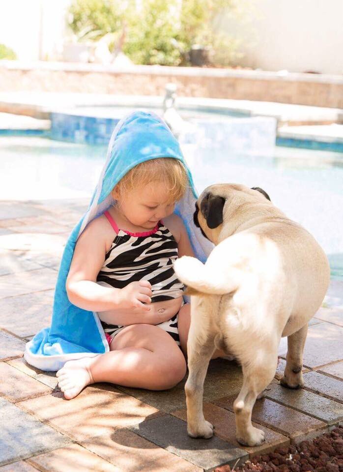 MerBaby_'s tweet image. Mer-Baby is parent &amp;amp; puppy approved 🐳 #merbaby #merbabyproducts #landandsea #shopmerbaby #pug
