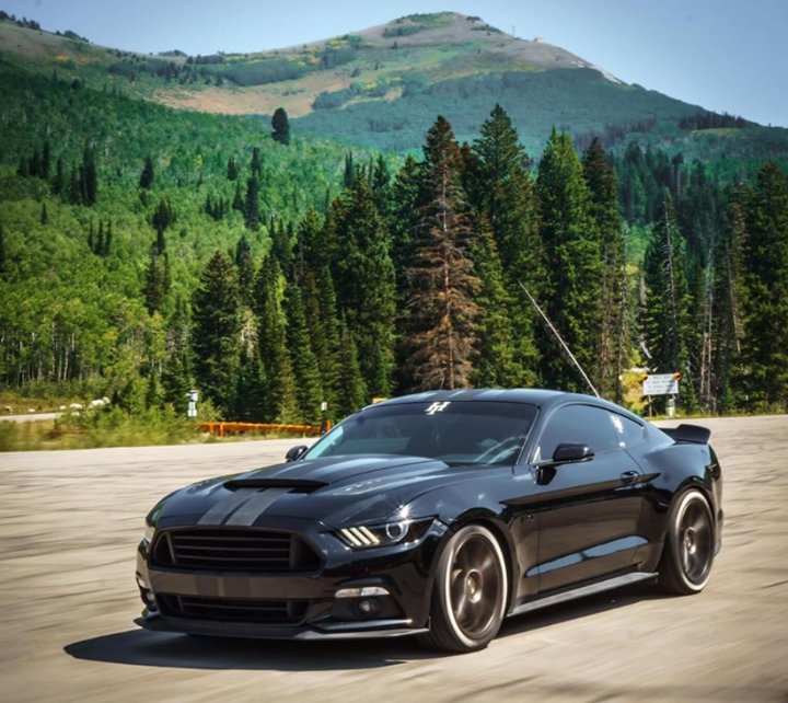 Modern Muscle Design modernmusclemmd Twitter