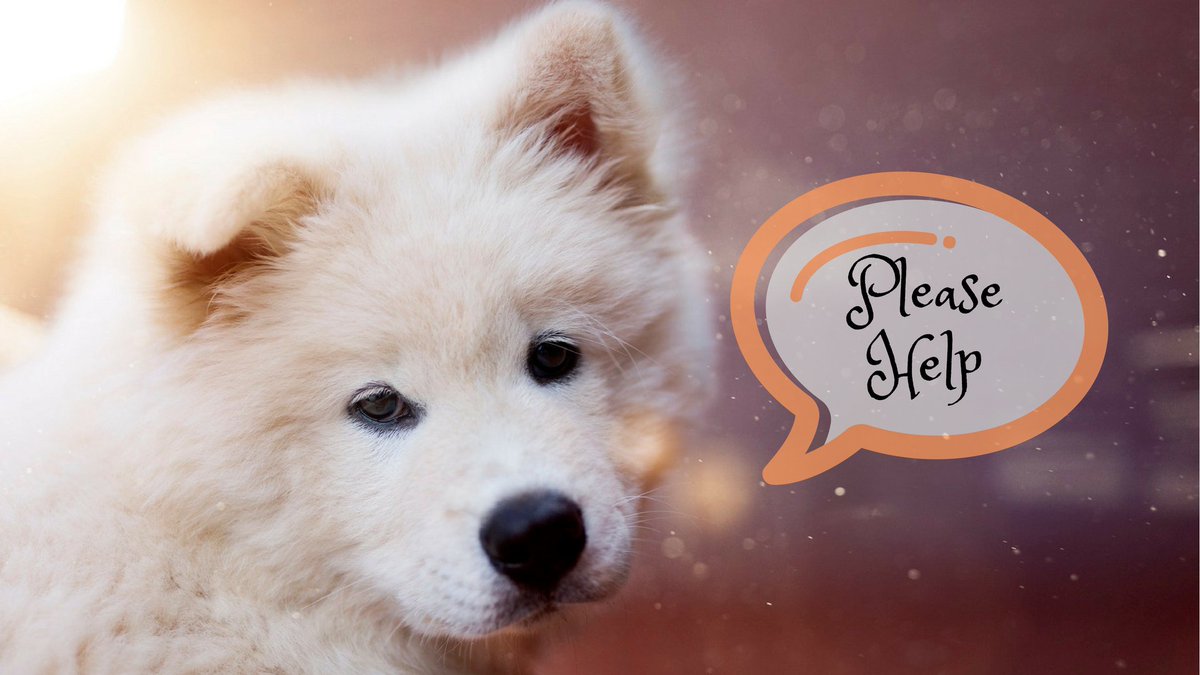 startgrowmaster's tweet photo. Help me spread the word for a chance to win! $100USD and 10 copies of my course: https://t.co/y4JLWoLzk2   #win #giveaway #GiveawayAlert https://t.co/wlntwJo9w3