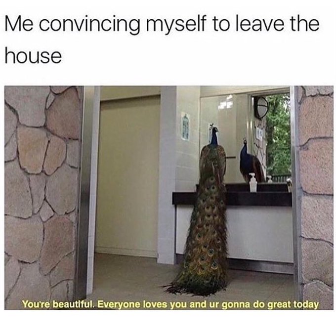 I can do this outside thing... https://t.co/LapVH1WNRQ<a href="/tag/downwithpants"class="tags"><span>#downwithpants</span></a>