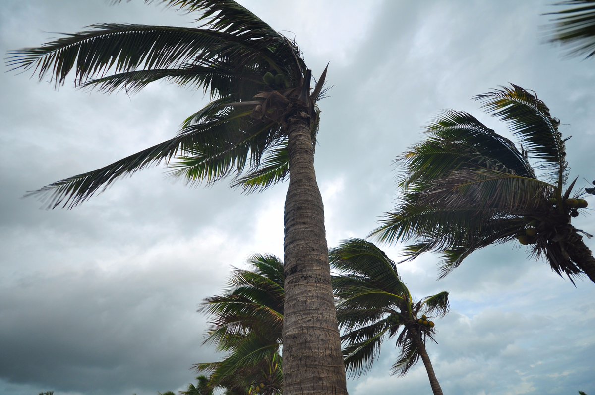 TotalSDS's tweet photo. Think your SDSs and hazard labels are simply a formality? Think again. https://t.co/qymACv0Jc4 #HazCom #SDSsolutions #hurricaneready https://t.co/mb7jmWTOGN