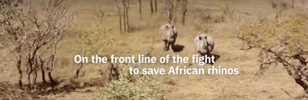Genusllc's tweet photo. Proactive measures against poaching African #rhinos can be taken thanks to #Watson. Watch this video for more info: https://t.co/WnyLmrxKIe https://t.co/epCoqZKcb5