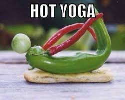 yogabuzzCOMO's tweet photo. We'll be keeping ourselves warm with some "hot" yoga w/ @buroakbrewing on October 14th from 4-6pm! Tickets are only $15 &amp; include an hour of all levels yoga and a pint of choice. 

Tickets: https://t.co/4UffimYLW7 https://t.co/FamjnjHfIE