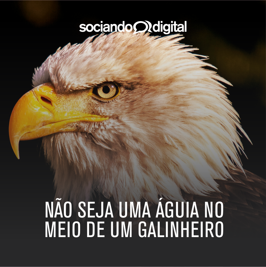 SociandoDigital's tweet photo. Você é a média das cinco pessoas com quem passa mais tempo, por isso escolha suas amizades e suas companhias. Águia não se mistura com galin https://t.co/0ntrhiXPzT