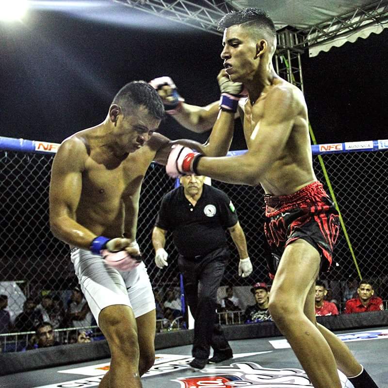 NFCMMAni's tweet photo. ¡Felicidades al nuevo Campeón Interino 125lbs Amateur de la NFC! Walter "El Lobo" Reyes de @XK_Nica #MMANicaragua https://t.co/FFgo1PYIdK
