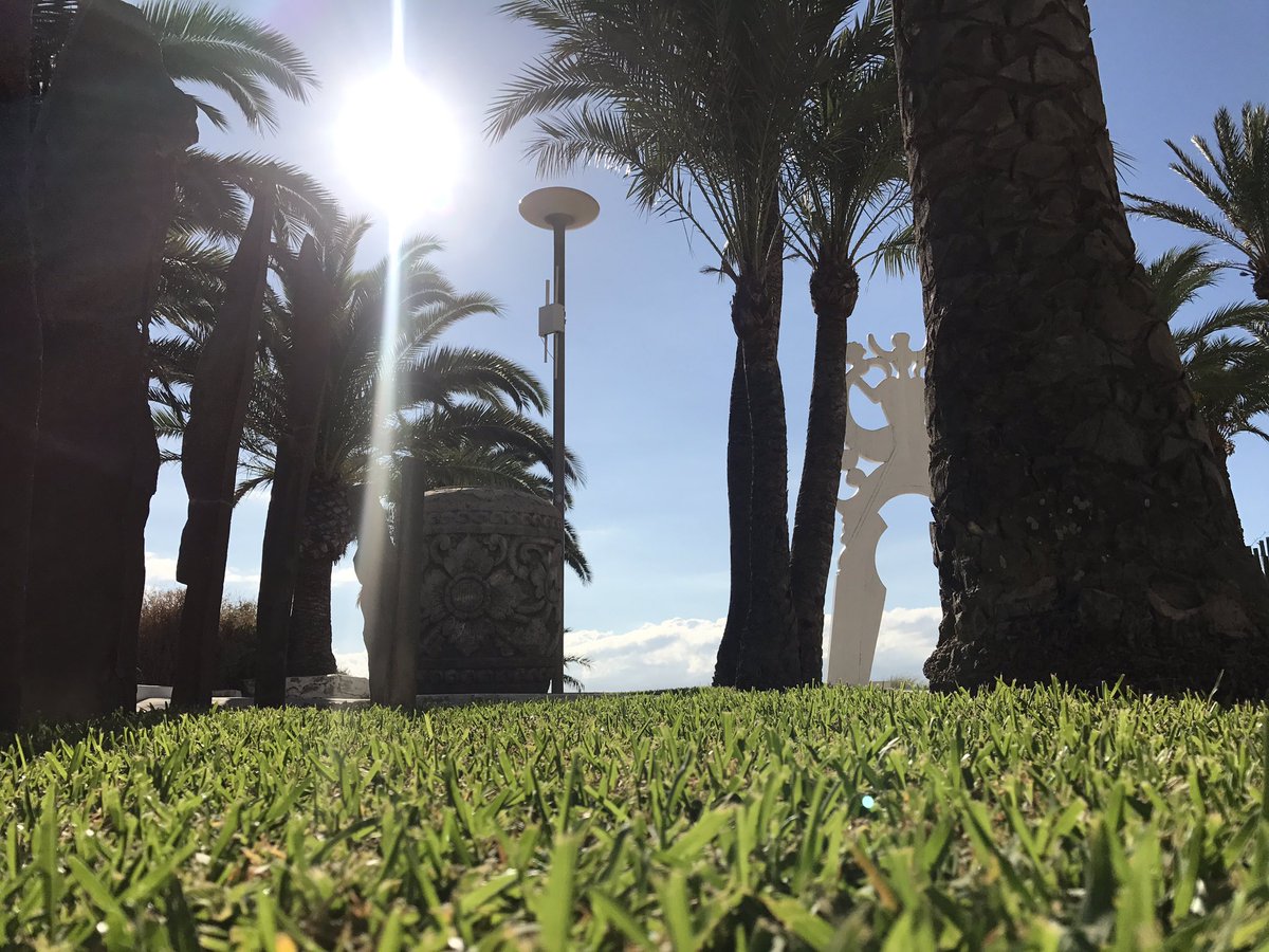 CoreyLA14's tweet photo. It was nice and sunny at the hotel as well 💯 https://t.co/1eE8KjHEAB