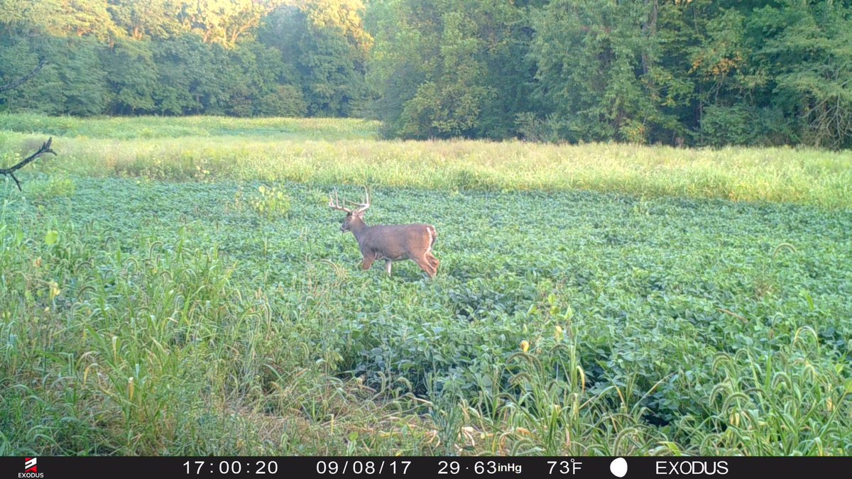 HoferJacob's tweet image. So ready to connect with any of these  bucks 👊🏼