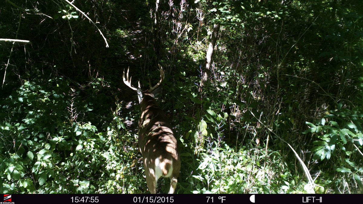 HoferJacob's tweet image. So ready to connect with any of these  bucks 👊🏼