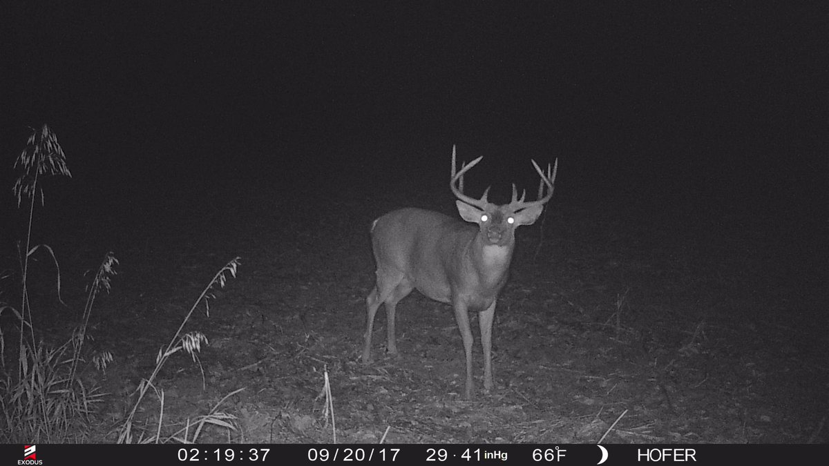 HoferJacob's tweet image. So ready to connect with any of these  bucks 👊🏼