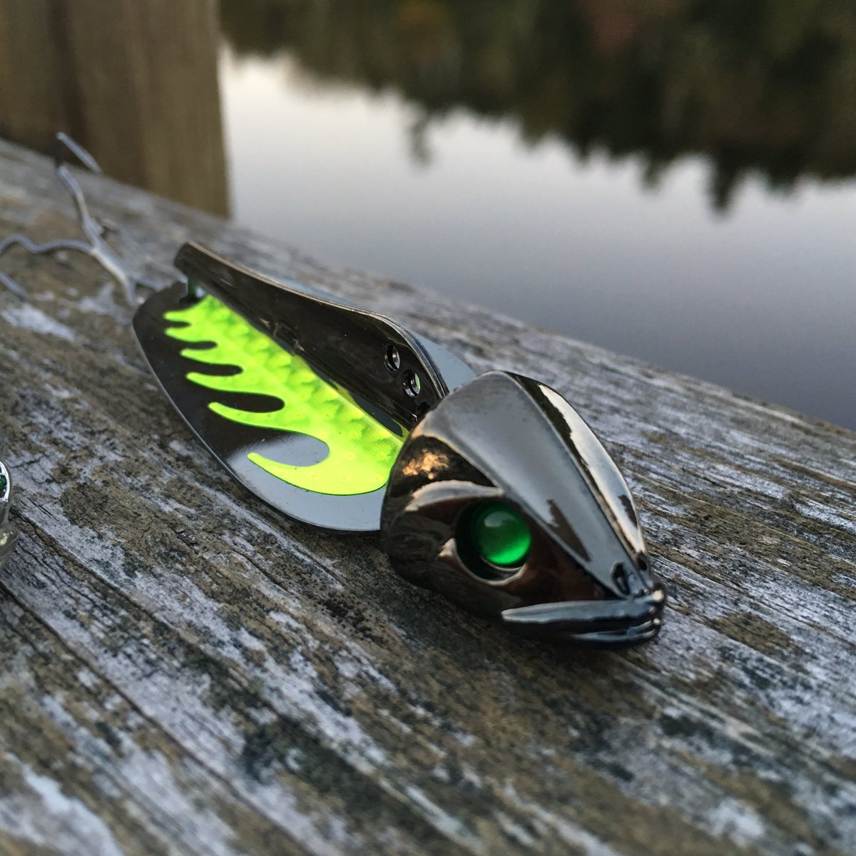 BiteBooster's tweet image. One of the last warm October evenings of 2017. Promo shoot of #bitebooster.