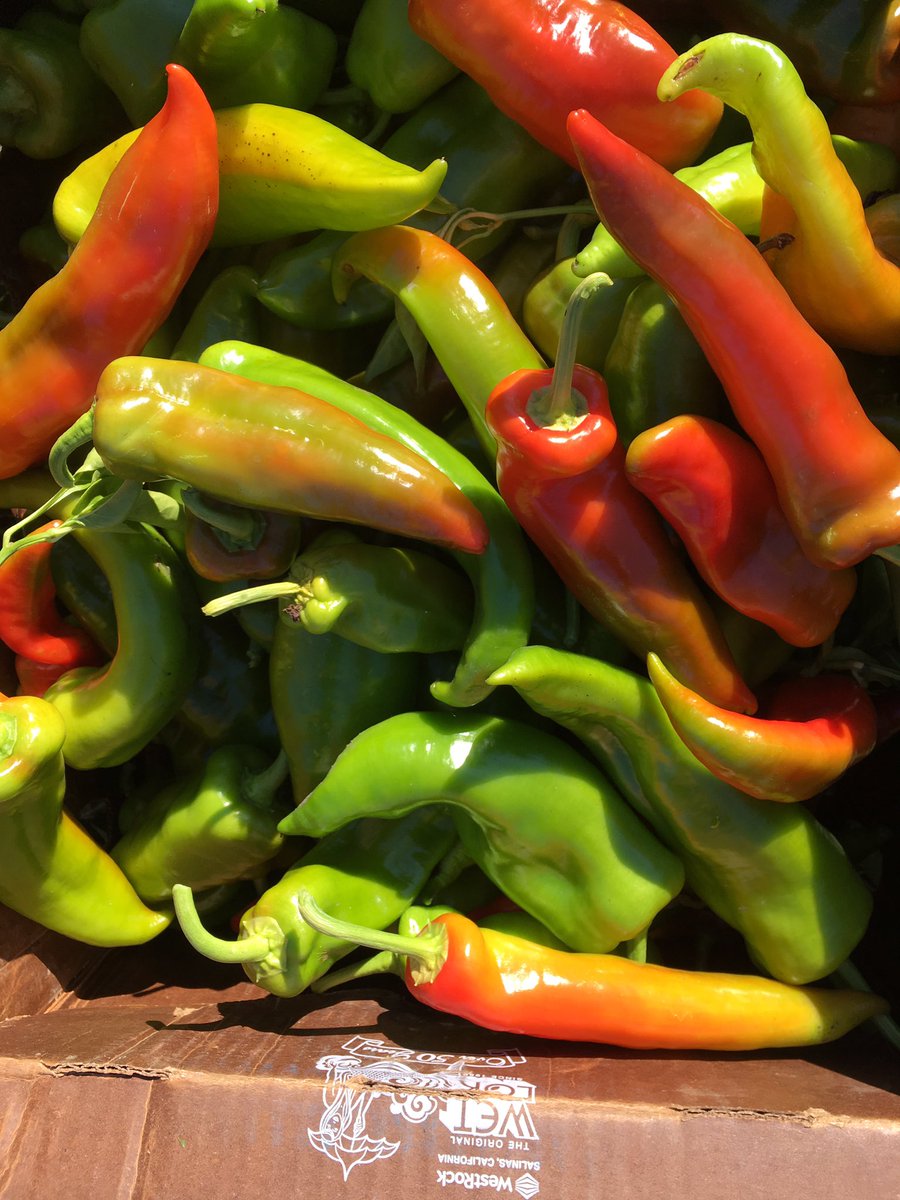 dirtworking's tweet photo. @deltafarmroots #farmermike picked 32 quarts of peppers for pickles. How many pecks and bushels did he pick? #farmmath #sd37 https://t.co/owUXGNDkaq