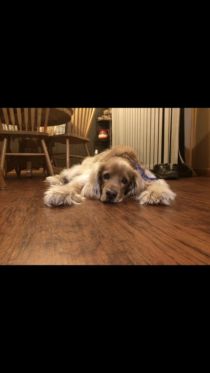 unsen_13's tweet photo. Rip😭💕 https://t.co/jSMPtpHeRT