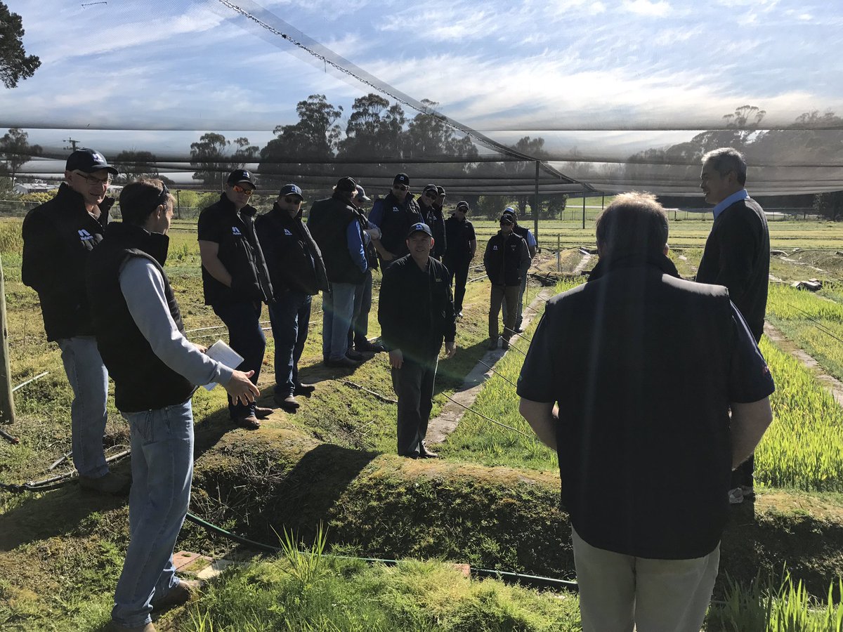 Paul Ackland tweet media