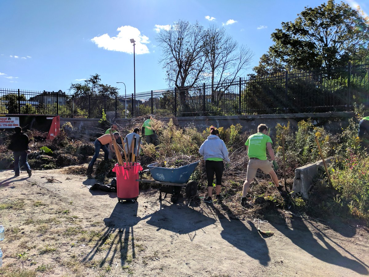 AlfredBeneschCo's tweet photo. Members of our #Chicago office volunteered at the @gpconservatory clearing debris in two large areas and removing weeds from potted plants! https://t.co/4cUqmX151a
