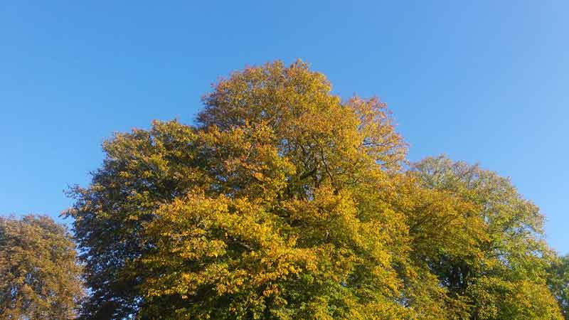 Getting into the Autumn vibe and aiming for feeling content. ow.ly/By3X30fBHT6