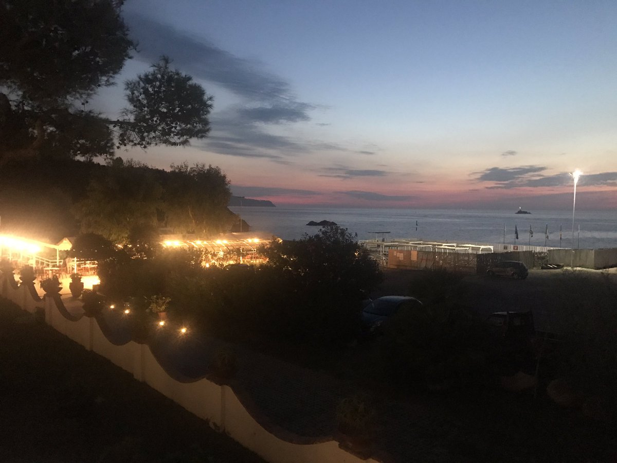 DanielleD tweet media