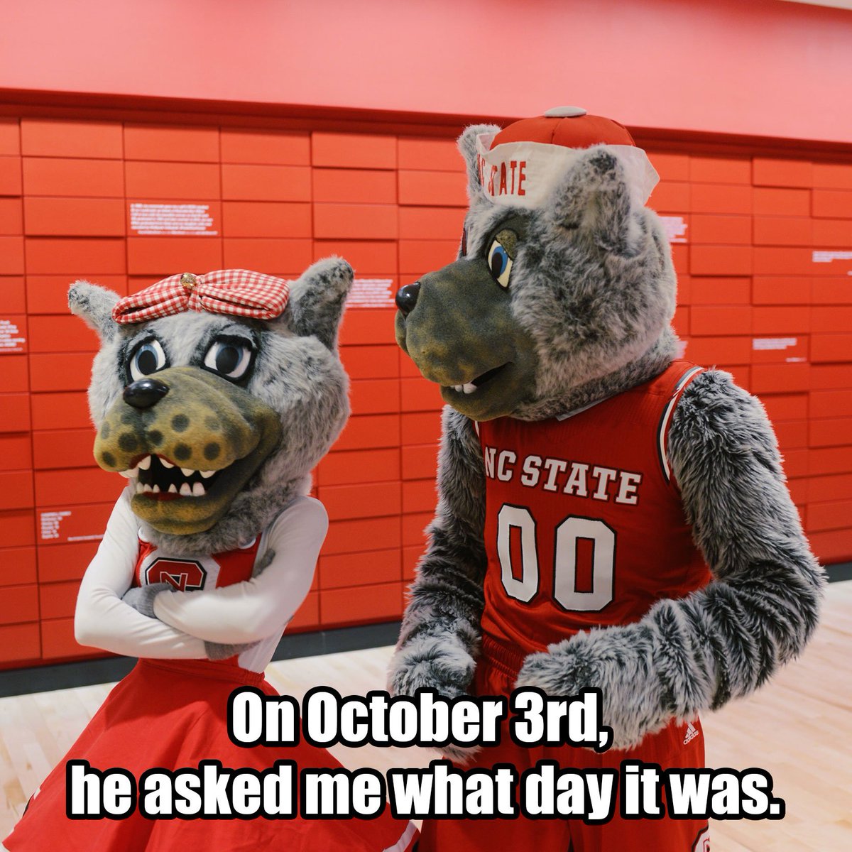 NCState's tweet photo. 🐺🐾💕. #MeanGirlsDay https://t.co/a5nvWYnq7i