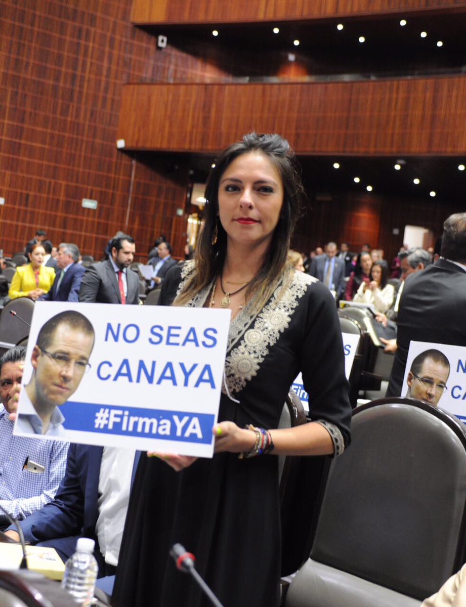 yarithtannos's tweet photo. Que @RicardoAnayaC, @Ale_BarralesM y @lopezobrador_  cumplan su palabra y renuncien al financiamiento #FirmaYa y apoyemos a los damnificados https://t.co/tK3vft8lls