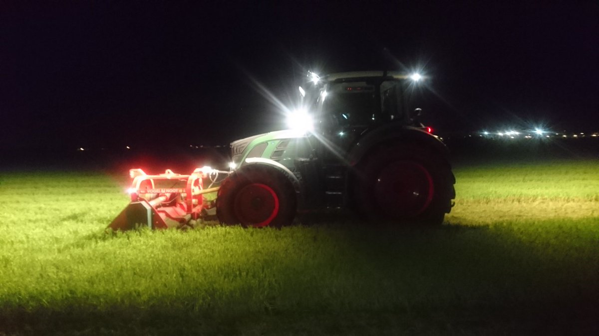 Groenbemester kneuzen, op dit perceel worden over een paar weken tulpen geplant #alseenspeer #tulpenteelt