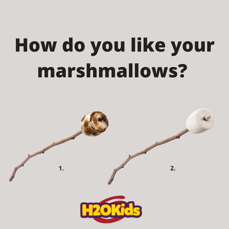 H20Kids's tweet photo. The most important question at a campfire! Which do you prefer? https://t.co/QV13B0YqQt
