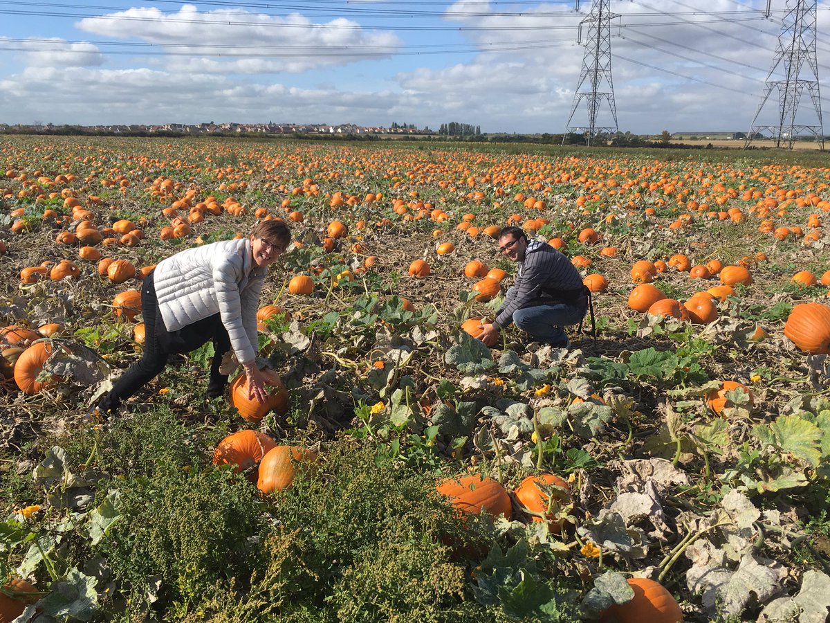Kim and Jorge picking pumpkins for the Academy. #pumpkin #farm #harvest #london #cotswolds #academy #coventgarden