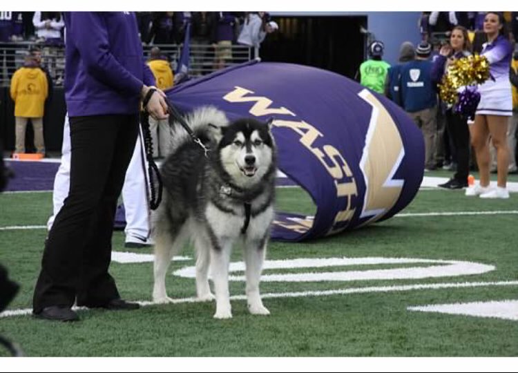 Emil Juslin tweet media