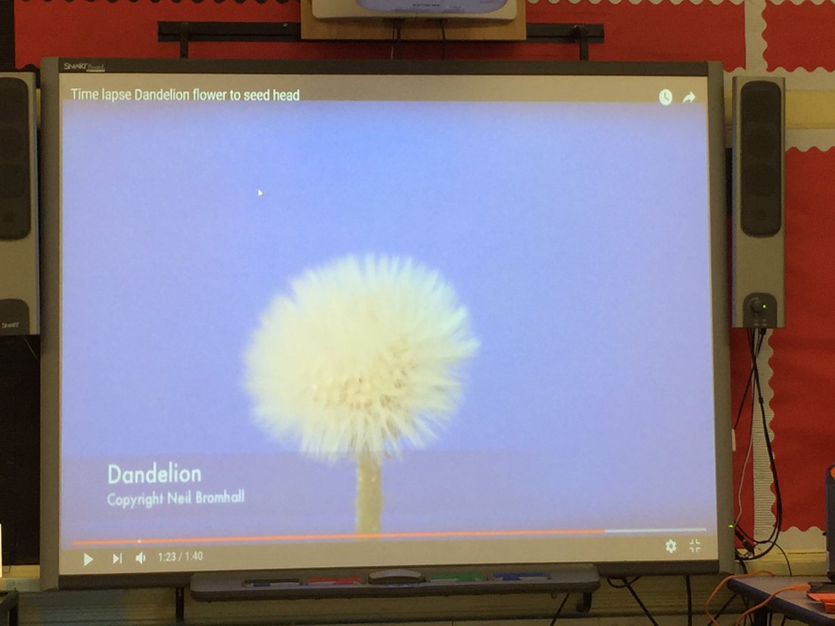 mrslsilverstein's tweet photo. #sch4stem 3rd Grade Stem Interactive student word wall. Student conversations. Categorizing and putting their words into context. https://t.co/SA3eEo2S2R
