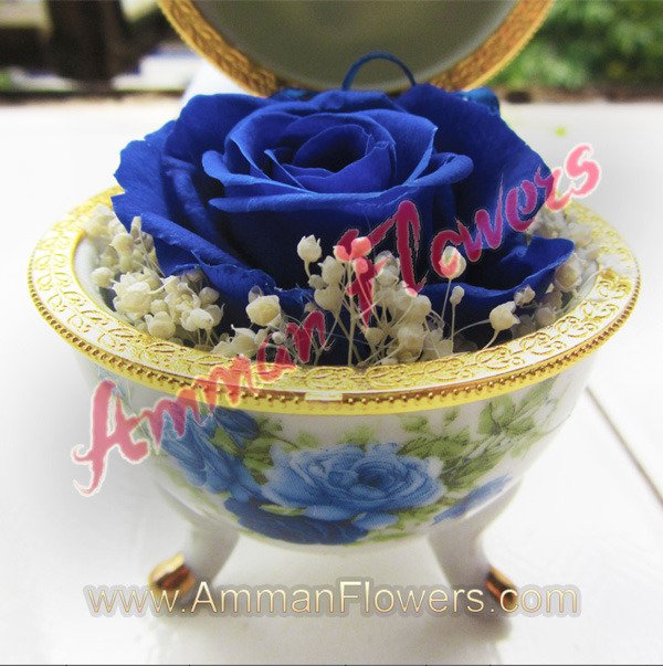 ammanflowers's tweet photo. ارسل أجمل باقات الورود 🌷 إلى الأحباء في عمان... توصيل مجاني... اطلب مباشره عبر موقعنا https://t.co/SuDNV4sg6j واتساب 00962796462495 https://t.co/vbW5nEYOBM https://t.co/asi8UiexD6