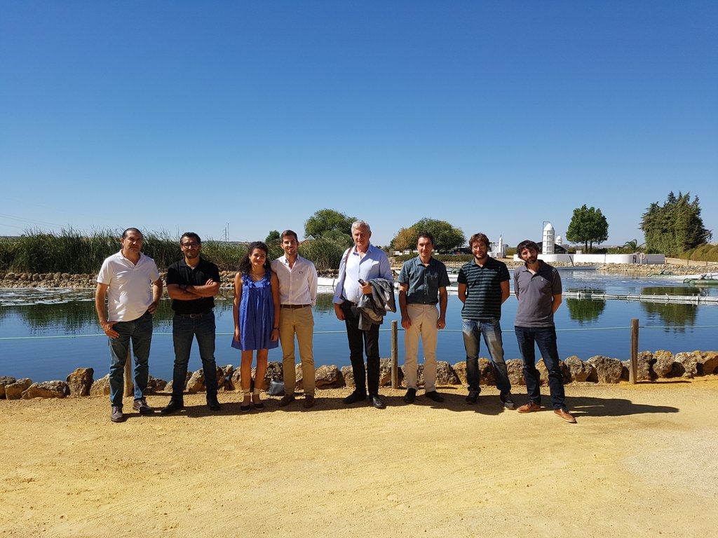 biosolware tweet media