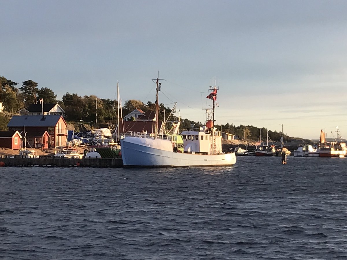 JWindstad tweet picture