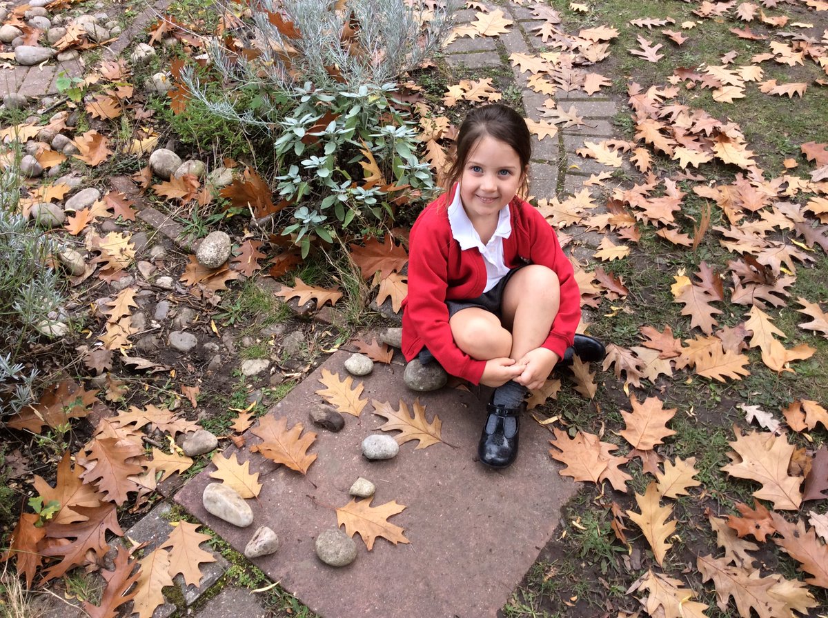 newscothill's tweet photo. Autumn has arrived! #leafplay #happydays #repeatingpatterns #nature https://t.co/QDfIPTJcu9
