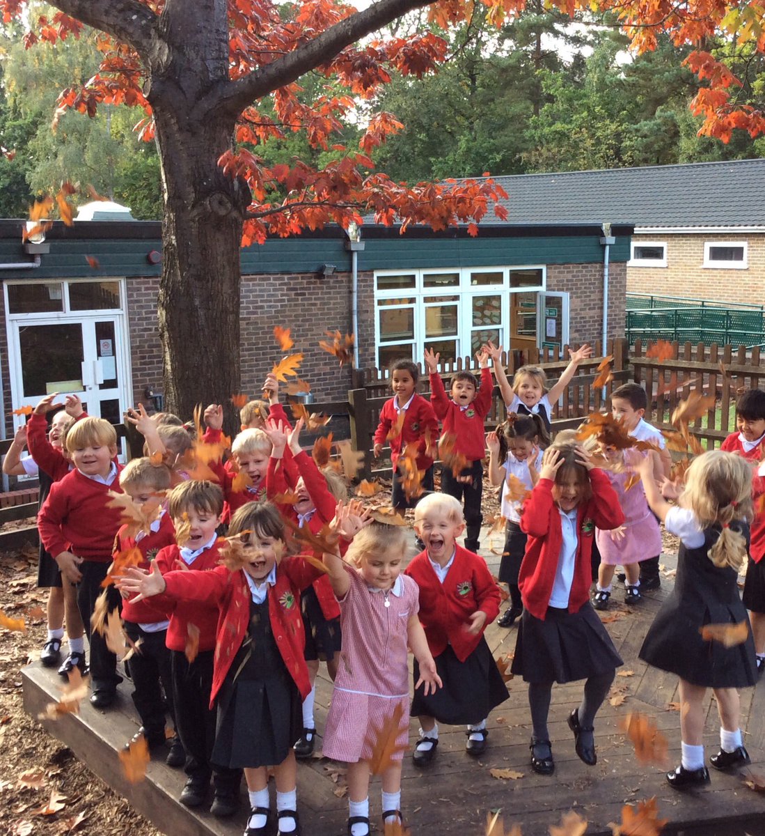 newscothill's tweet photo. Autumn has arrived! #leafplay #happydays #repeatingpatterns #nature https://t.co/QDfIPTJcu9