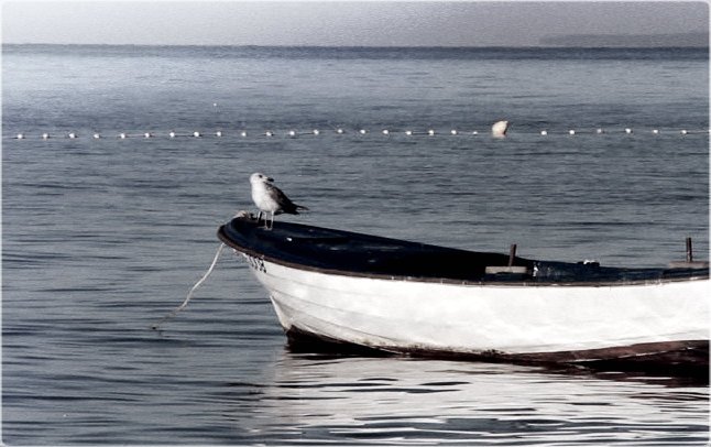 asmistaken tweet media