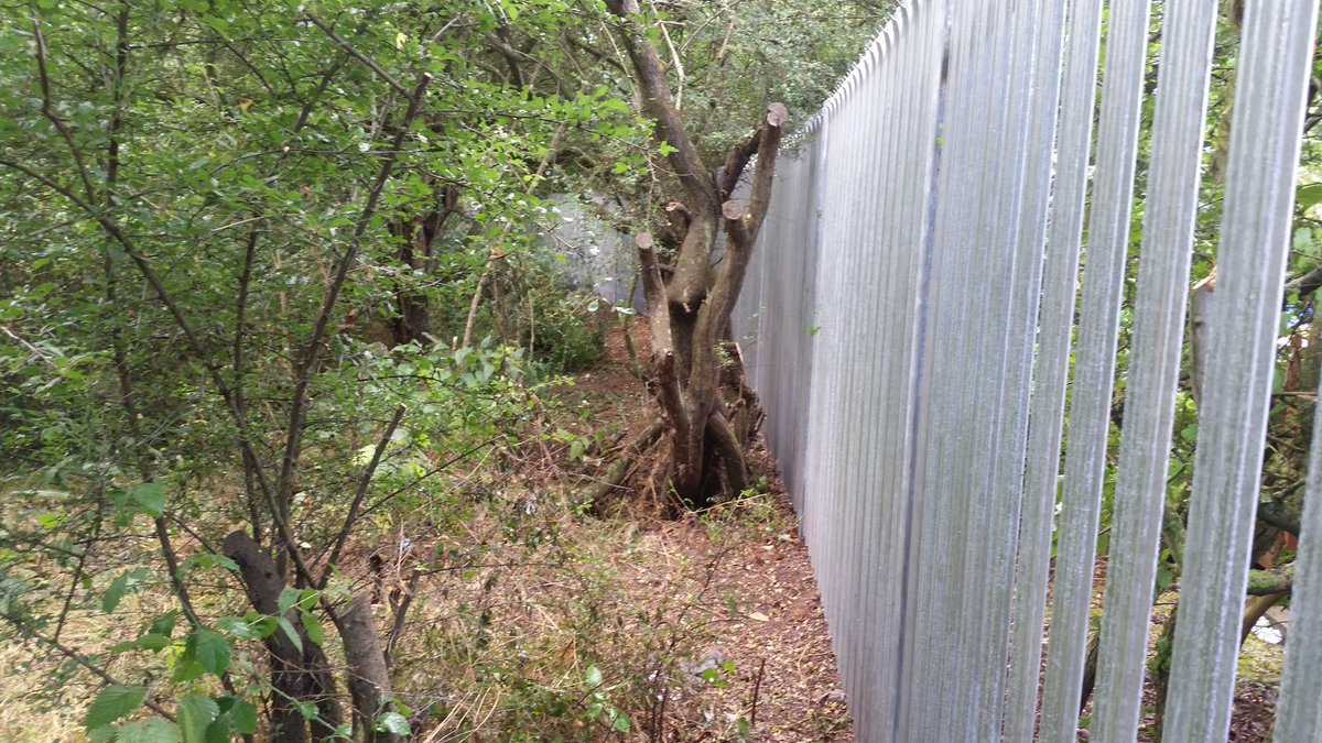 Adsungroup's tweet photo. A bit of #securityfencing carried out recently. About 150m! 100m through thick hawthorne!!
#fencing #landscaping #palisadefencing https://t.co/lXDDQeDlPm