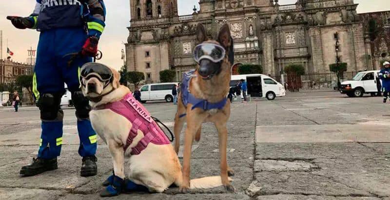 ZeinyC's tweet photo. #TodosSomosFrida, la amo https://t.co/W68hecoi3Q