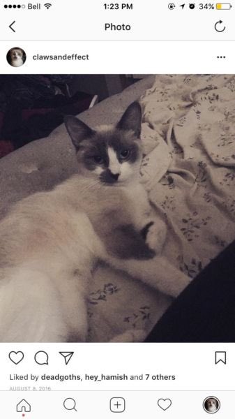 ALLYGAT0R tweet media