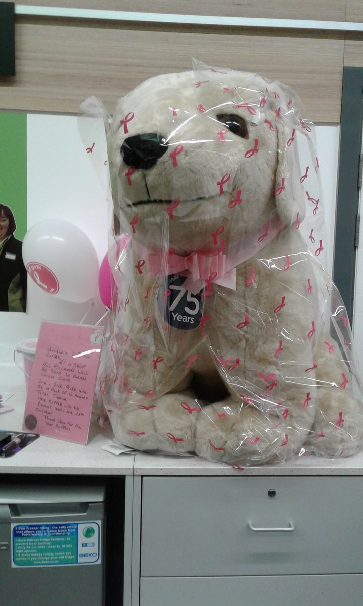 asdaAintree's tweet photo. @AsdaCommunity 
Aintree andrex dog for raffle at asda aintree all proceeds going to tickled pink .. https://t.co/VEqYccVGoL