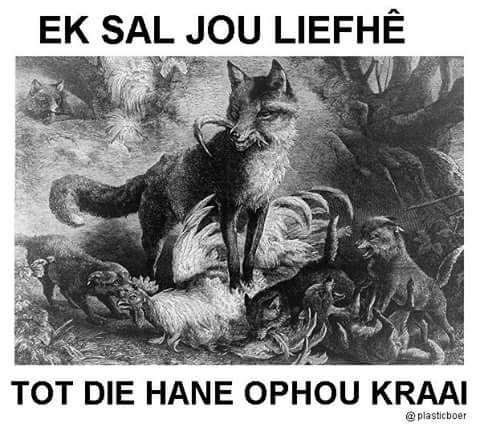 plasticboer's tweet photo. https://t.co/X03uEEg8Di
