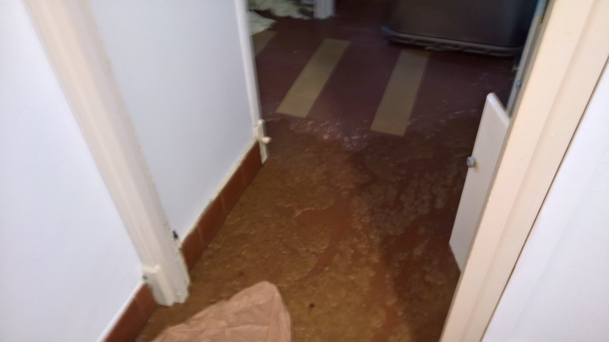 DhasAude's tweet photo. Urgence interevention Décontamination , rupture canalisation https://t.co/fIlHA0Beb2